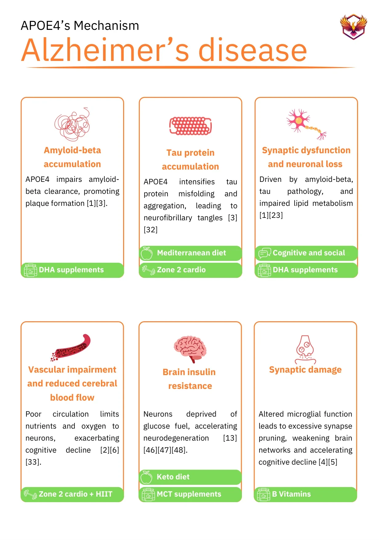 APOE4 mechanism of Alzheimer's disease